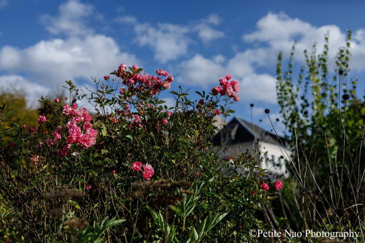 Au Jardin Des Deux Ponts Bed & Breakfast Abbeville Exterior photo