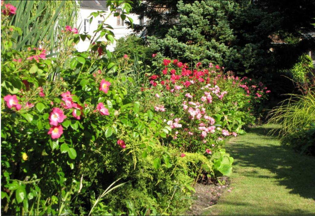 Au Jardin Des Deux Ponts Bed & Breakfast Abbeville Exterior photo